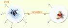 Figure 5: The plug-synapse model: eGadgets express their capabilities via the software construction of “plugs”.  A “synapse” is shown as a connection between two “plugs