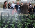 Figure 3: At the Eden Project Nursery, members of Tyndall National Institute, Computer Technology Institute and Plant Science, University College Cork, talked to the audience about the components of the PLANTS technology. The audience were able to see the irrigation and misting systems activated via the PLANTS technology